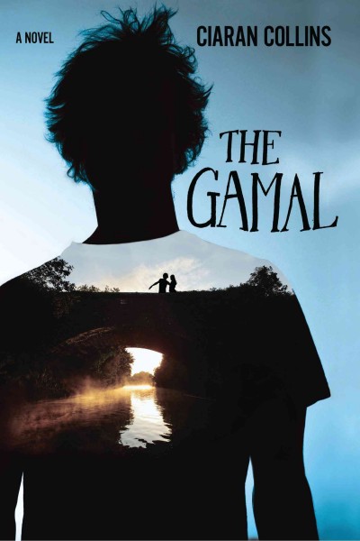 The gamal [electronic resource] : a novel / Ciarán Collins.