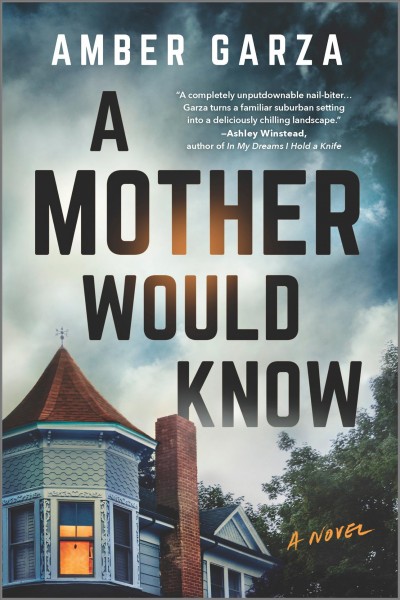 A mother would know : a novel / Amber Garza.