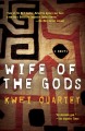 Wife of the gods a novel  Cover Image