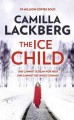 The ice child  Cover Image