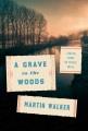 A grave in the woods  Cover Image