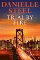 Trial by fire : a novel  Cover Image